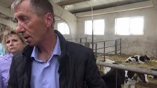 Содержание телят и "родильное отделение" на молочной ферме Виктора Санникова (Ростовская область)