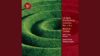 Brandenburg Concerto No. 2 in F Major, BWV 1047: Allegro assai