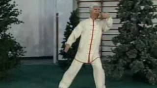 Eight Posture Taijiquan