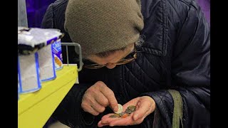 Старушка стояла возле прилавка с овощами и что-то бормотала, я решил вмешаться