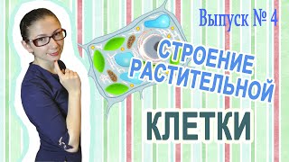 Уроки биологии: Строение растительной клетки (Вып. 4)