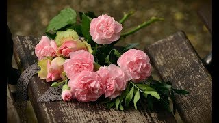 Как муж отравляет мне каждый праздник…