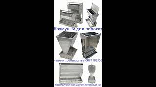 рекордный привес  поросят   с  кормушками  нашего производства