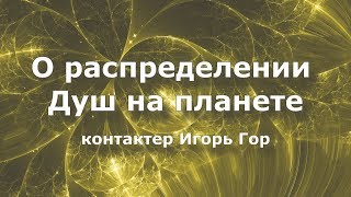 Послание. Цивилизация Солнц о распределении душ на планете