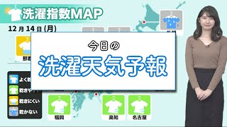 今日14日(月)洗濯天気予報