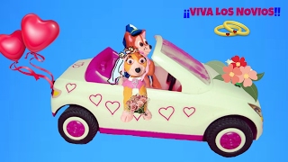PATRULLA CANINA ? La BODA de Skye y Chase ? VIVA LOS NOVIOS ?  Paw Patrol en español