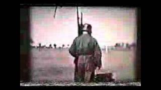 Frikorps Danmark 1