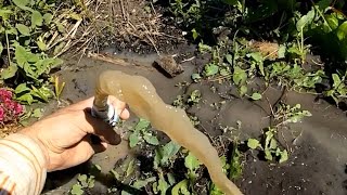 3 СКВАЖИНЫ за 1 ДЕНЬ часть 1 (1 из 3) ЗВУК ВОДОНОСНОГО ПЕСКА бурение на воду