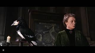 Professora McGonagall fala sobre os quatro Fundadores de Hogwarts, "Câmara Secreta" Harry Potter