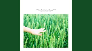 당신을 믿어요 (I Trust You)