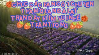 Thuê Xe đà lạt giá rẻ nhất _0909106604