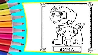 РАСКРАСКИ! РАСКРАШИВАЕМ КАРТИНКИ ДЛЯ ДЕТЕЙ МУЛЬТИК ЩЕНЯЧИЙ ПАТРУЛЬ ЗУМА