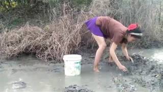 Amazing beautiful girl Fishing in the field - How to Catch Fish at battambang ( part 29)