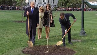 Here’s Why Tree Macron and Trump Planted at White House Disappeared