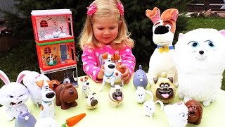 Диана собрала коллекцию игрушек из мультика Тайная Жизнь Домашних Животных The Secret Life of Pets