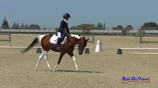 263D Rylan Tucker on My Box of Crayons JR Beginner Novice Dressage Woodside August 2018