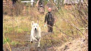 ЯРКИНО. 15 kbo  30 06 2012