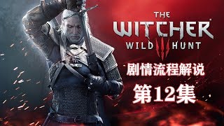 老戴《巫师 3 狂猎  美剧式流程》12【支线】【女巫】你是风我是沙