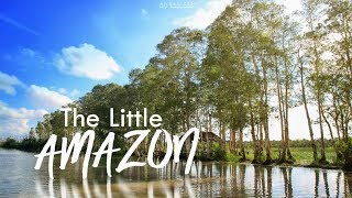 Jelajah Little Amazon Desa Jeriji