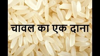 प्रेरणा कथा 1458: चावल का एक दाना 1458: Chaawal Ka Ek Daana