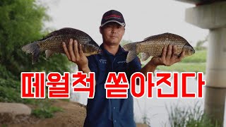 떼월척 쏟아진다 달빛소류지 붕어낚시