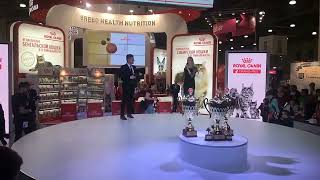 Финал Гран-при Royal Canin — 2017