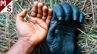 10 АРХЕОЛОГИЧЕСКИХ НАХОДОК 2017 ГОДА