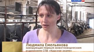 Дороги Деревенские. СПК «Красное Знамя» Куменского района.(ГТРК Вятка)