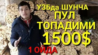 УЗБда ойига 1500$ топадиган бизнес гоя ШУНЧА ПУ'ЛА