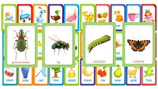 Flashcards for kids - Insects and Spiders - help your child learn basic words in English.