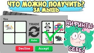 Что за нее дают! ШОК!! Трейды в адопт ми в роблокс, обновление в адопт ми новые питомцы Adopt me