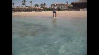 Рыбалка на Красном море (ловля кефали на пляже)