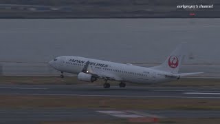 Japan Airlines (JAL) Boeing 737-800 JA301J 羽田空港 離陸 2019.12.6