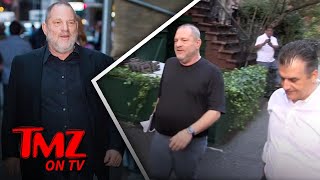 Harvey Weinstein Fired | TMZ TV