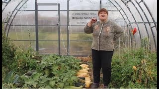 ЮЛИЯ МИНЯЕВА: ОБЗОР УЧАСТКА. НАВОЗ, СЕНО И МОРЕ ТОМАТОВ. 01.10.19 (часть 3)