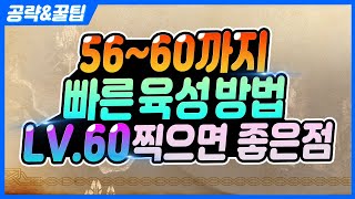 【V4】무,소과금 56~60까지 빠르고 효율적으로 육성하는 방법, 60레벨을 찍으면 뭐가좋을까? [跨界戰]