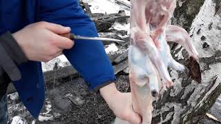 Как снять шкуру с кролика. Слабонервным не смотреть