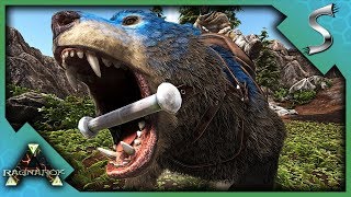DIREBEAR TAMING & THE JOURNEY TO FIND HONEY! - Ark: RAGNAROK [DLC Gameplay S3E31]