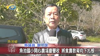 20200204 民議新聞 魚池國小開心農場慶豐收 將食農教育向下扎根(縣議員 謝明謀)
