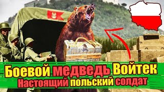ПОЛЬСКИЙ БОЕВОЙ МЕДВЕДЬ - Wojtek the Soldier Bear - The bear that went to war