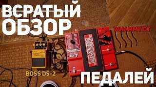 Домашний обзор гитарных педалей | Boss DS-2 и Digitech Whammy DT