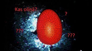 Kas oliņā? - Ebay