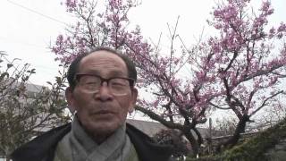 【春のセンバツ2012】がんばれ！宮崎西高～応援メッセージ１～