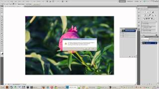 Как правильно изменять размер изображения в Photoshop