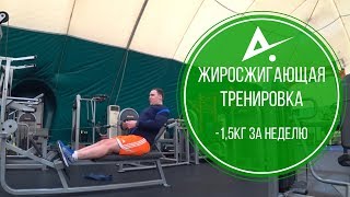 Огненная жиросжигающая тренировка. Минус 1,5кг за неделю