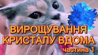 Як виростити кристал з мідного купоросу вдома. Кристалогідрат в домашніх умовах. Частина 1.