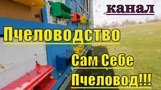 Пчеловодство 24,03,2019 Обзор пчелоприцепа,включаем пыльцесборники
