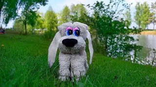 Как сделать собаку из полотенца. DIY