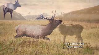 [신천지 예수교회] 말씀이 있는 풍경 - 여름 - 29 - 욥기 22장 22~30절