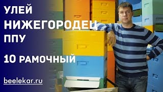 10-ти рамочный улей ППУ Нижегородец
